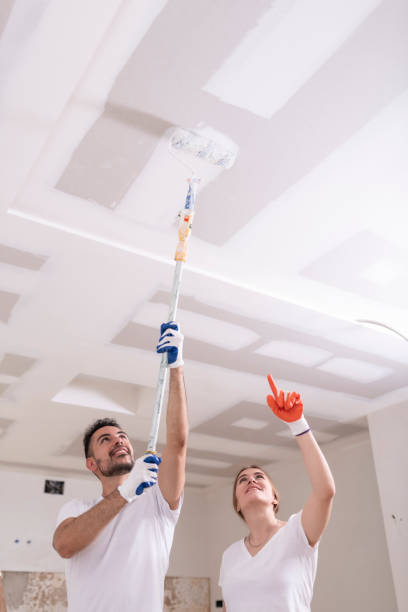 Best Residential Mold Inspection & Testing  in Albuquerque, NM