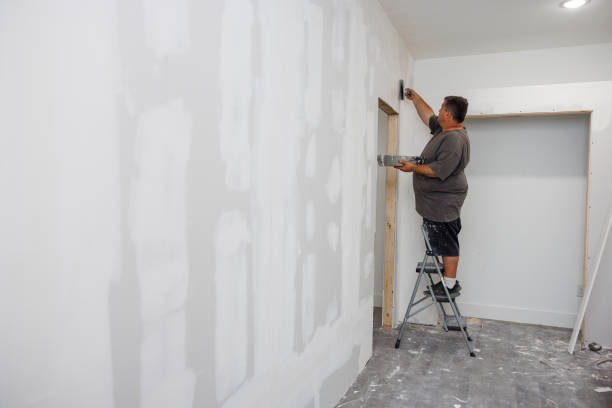 Best Crawl Space Mold Remediation  in Albuquerque, NM