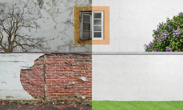 Best Emergency Mold Remediation  in Albuquerque, NM