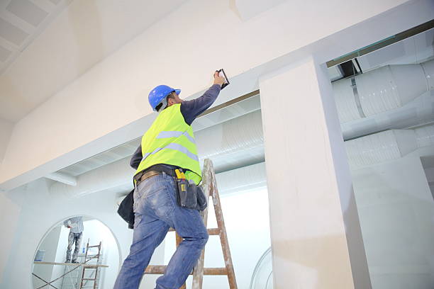 Best Biohazard Mold Removal  in Albuquerque, NM