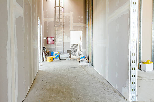Best Forensic Mold Investigation  in Albuquerque, NM